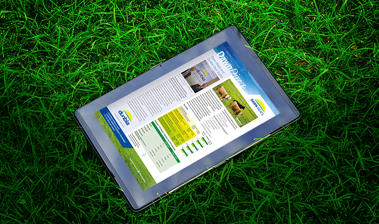 generic tablet computer (tablet pc)  on green grass
