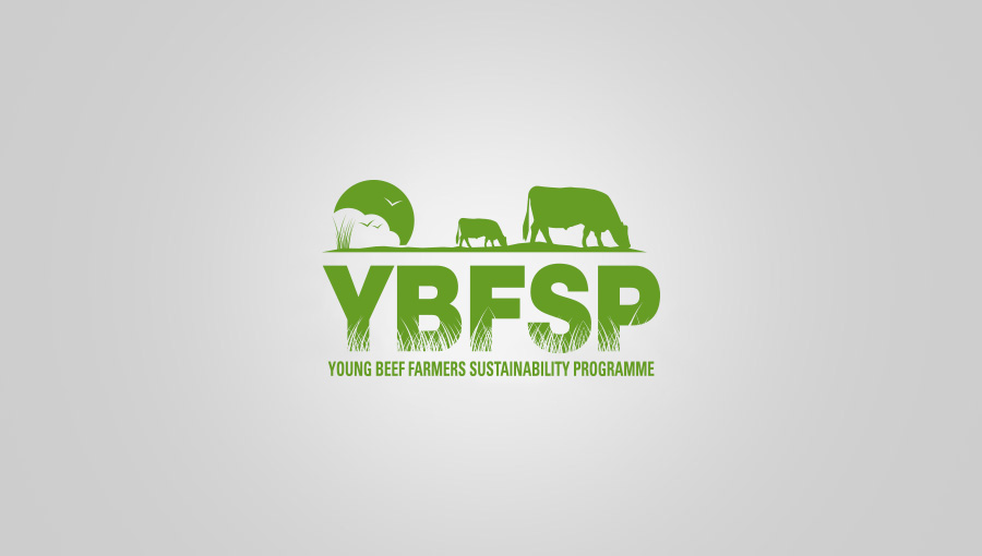 ybfsp-logo