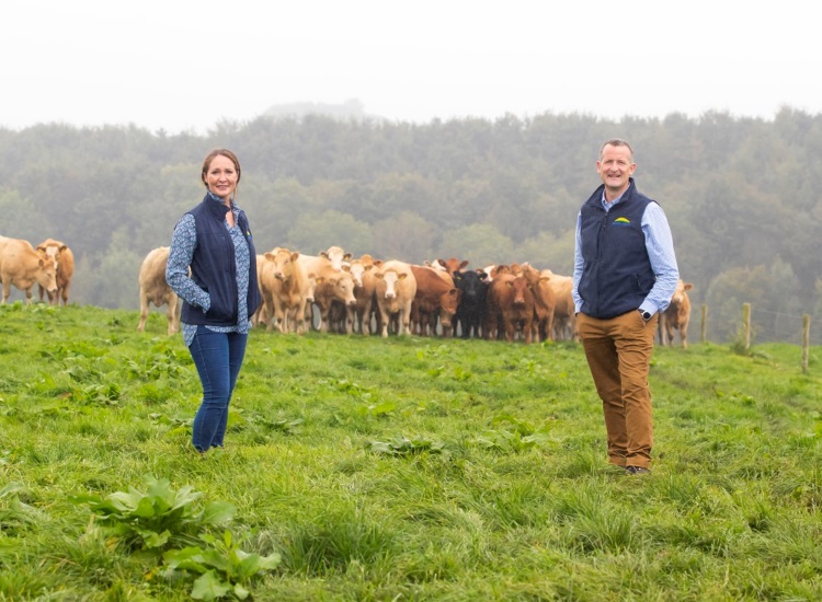 Dawn Meats cuts Science-Based Target emissions by 248,000 tonnes in 2020